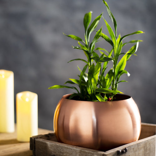 Handcrafted Round Copper Vases Set of 2