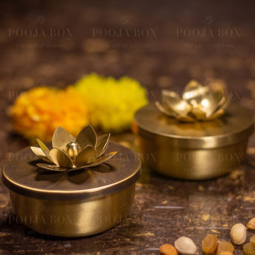 Brass Zahra Nut Case ( Set Of 2 ) Home Decor