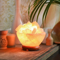 Himalayan Pink Salt Firebowl Glow Lamp Salt Lamp